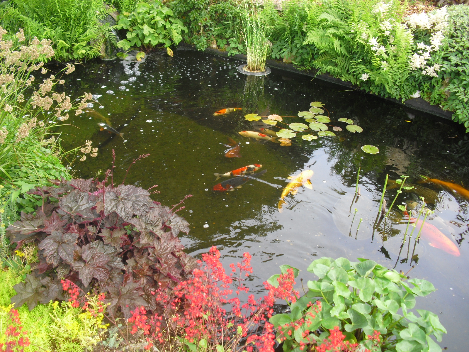 Sté Rélot spécialisés dans le bassin de jardin et la pisciculture d