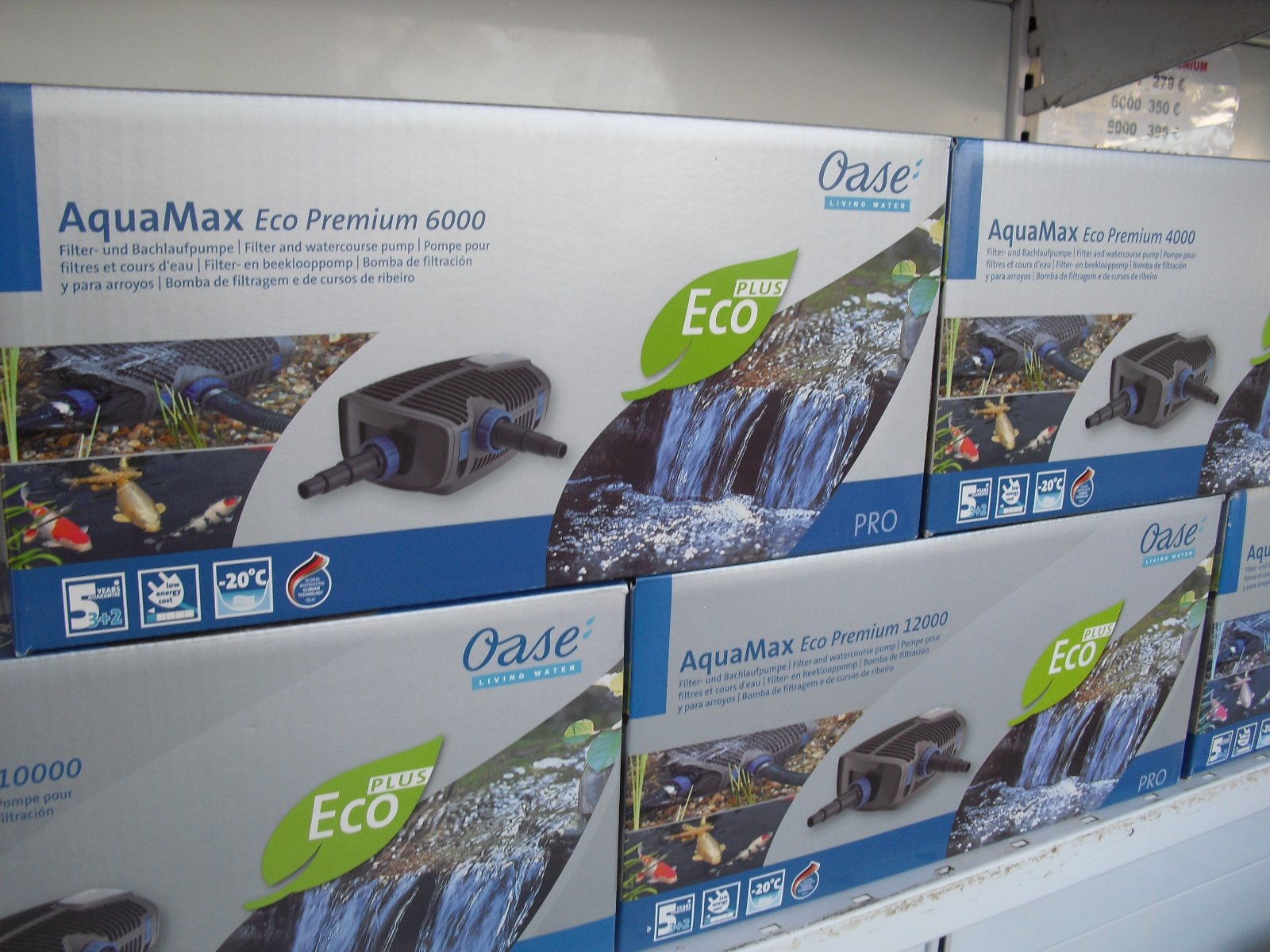 Pompe de bassin AquaMax Eco Premium 6000 12V OASE - Expert Bassin