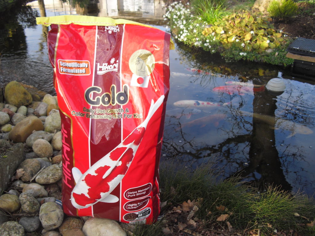 HIKARI GOLD