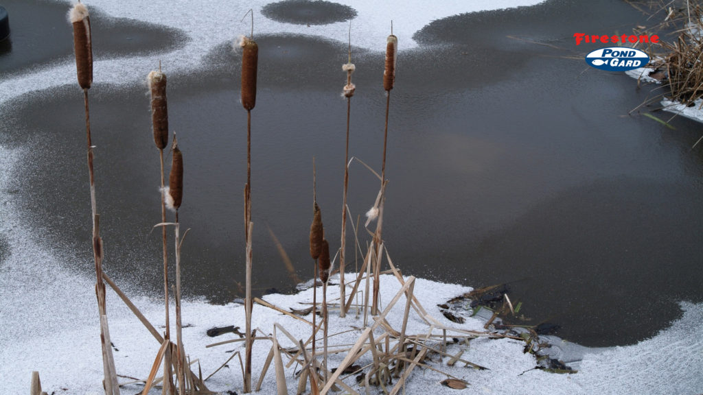 attention aux jours fermées
